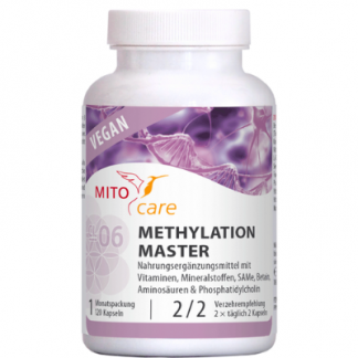 Methylation Master