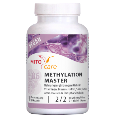Methylation Master Methylation Master