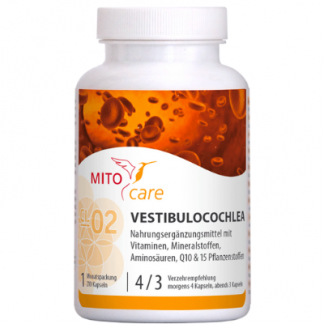 Vestibulocochlea
